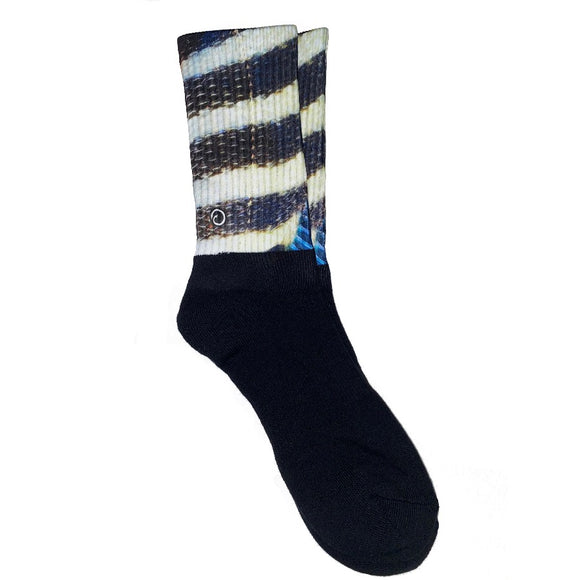 Sheepshead Fish Socks
